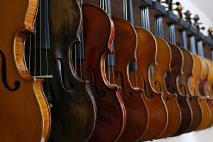 Row of violins