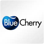 Upshot Commerce and BlueCherry Integration